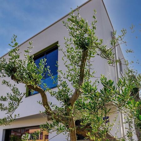 Casa Ines Villa Rovinj Eksteriør billede